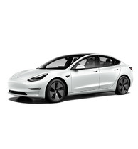 Tesla Model 3 (2017 - н.в.) (салон)