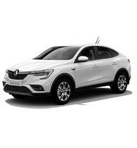 Renault Arkana (2018 - н.в.) (салон)
