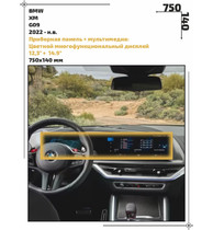 Статическая пленка <br>BMW <br> XM<br> - Дисплей  - <br>BMW-XM-01