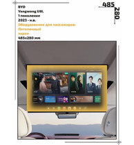 Статическая пленка <br>BYD <br> Yangwang U8L<br> - Пассажирская зона - <br>BY-U8L-04