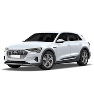Audi <br />Q8 e-tron (2022) <br />интерьер