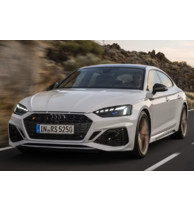 Кузовные элементы Audi RS5 Sportback (B9) (2019)