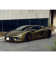 Кузовные элементы Lamborghini Temerario (LB634) (2025) Alleggerita